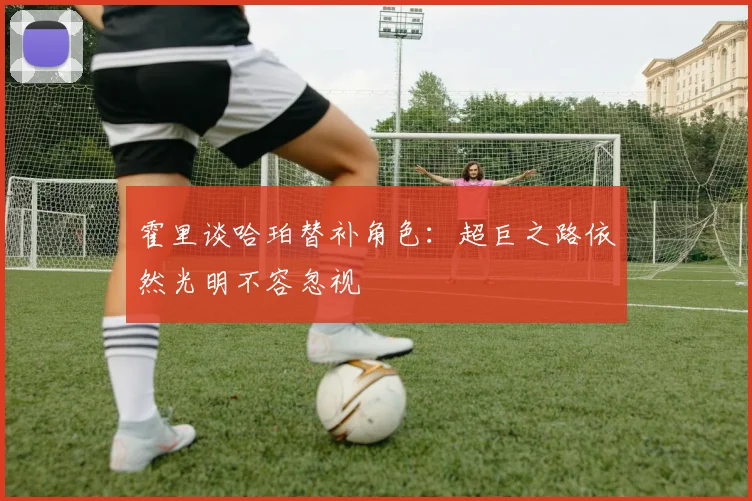 霍里谈哈珀替补角色：超巨之路依然光明不容忽视