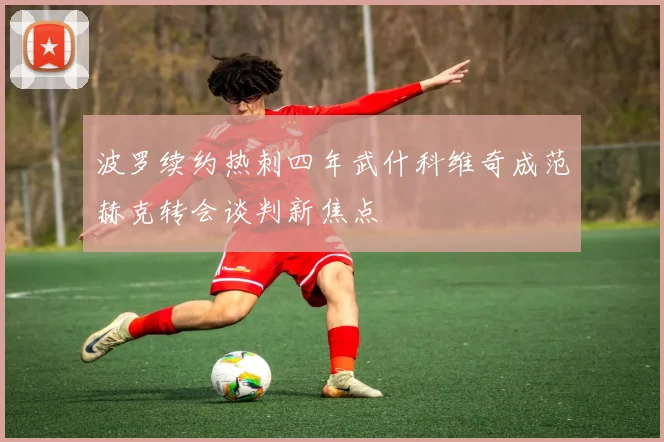 波罗续约热刺四年武什科维奇成范赫克转会谈判新焦点